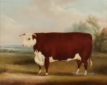 Stier Kuh Rinder Werke - Rinder 07 2